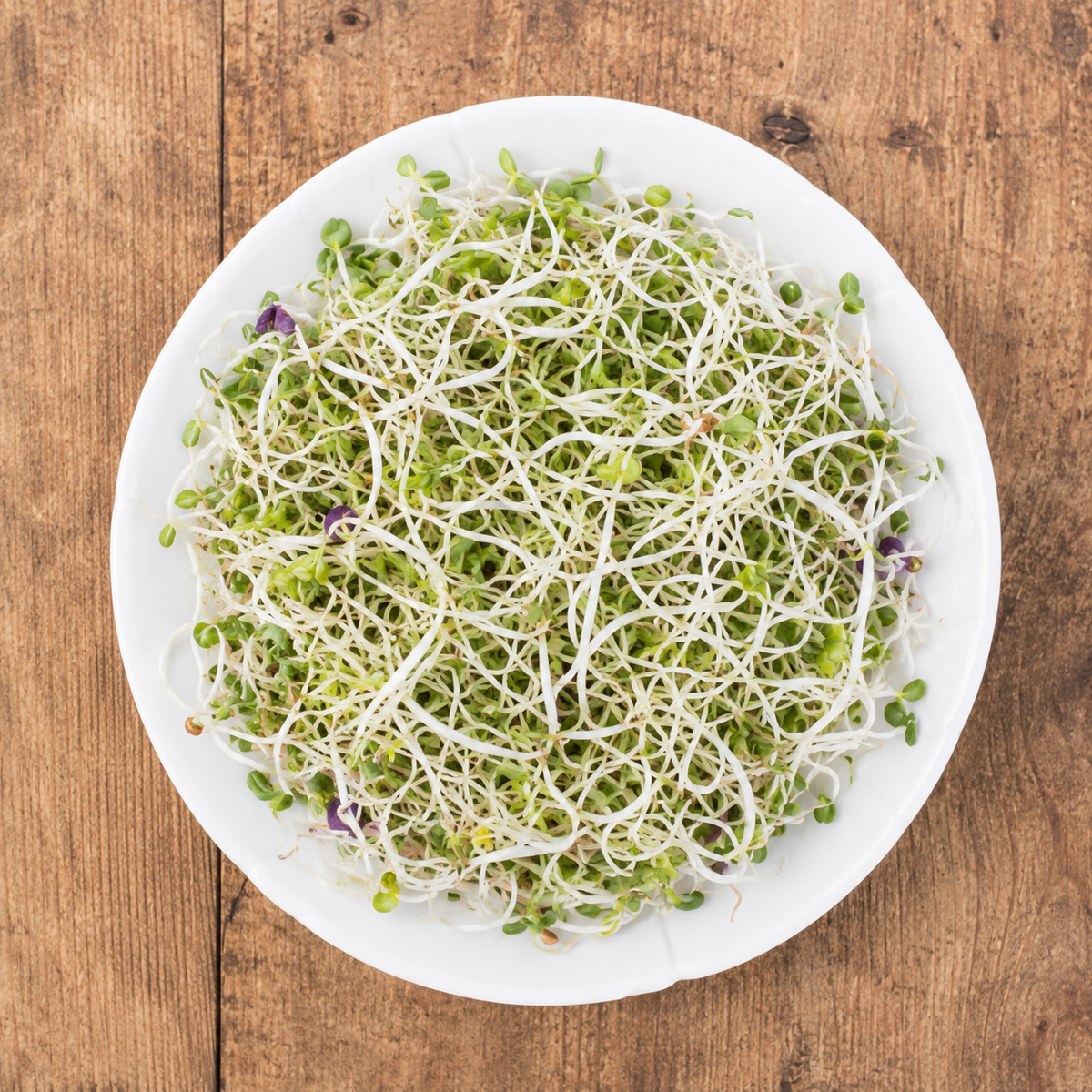 Brote de Alfalfa 70gr