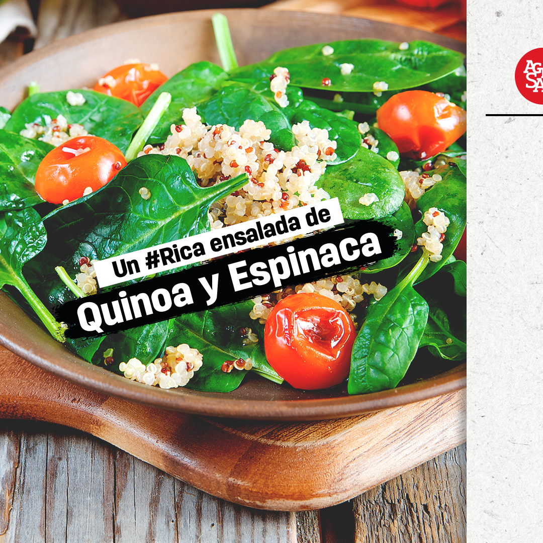 Ensalada de Quinoa y Espinaca