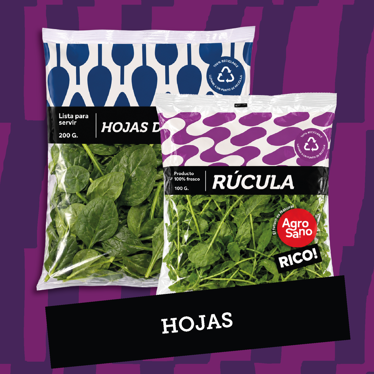 Hojas