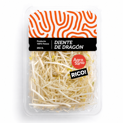 Diente de Dragón 250gr