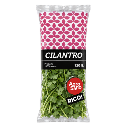 Cilantro