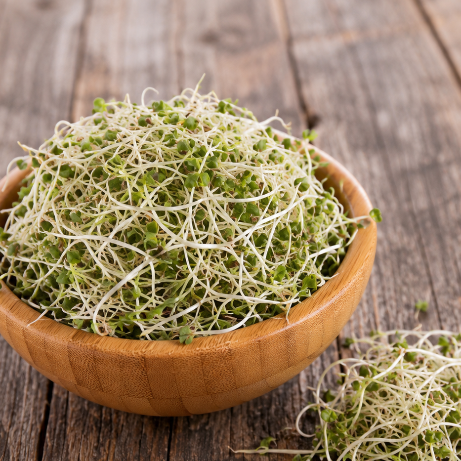 Brote de Brócoli 70gr