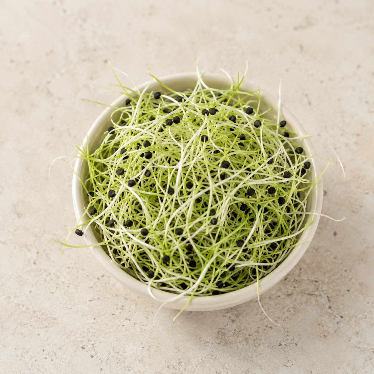 Brote de Cebolla 70gr