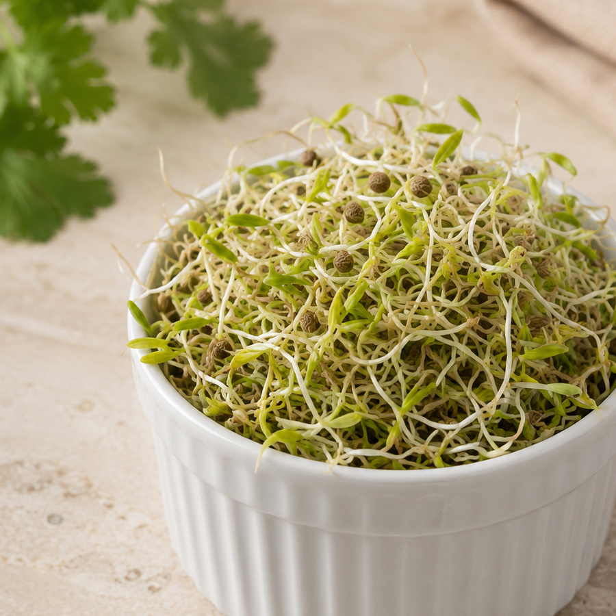 Brote de Cilantro 70gr