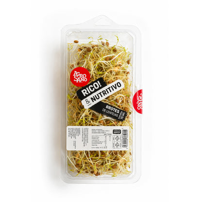 Brote de Lenteja 70gr