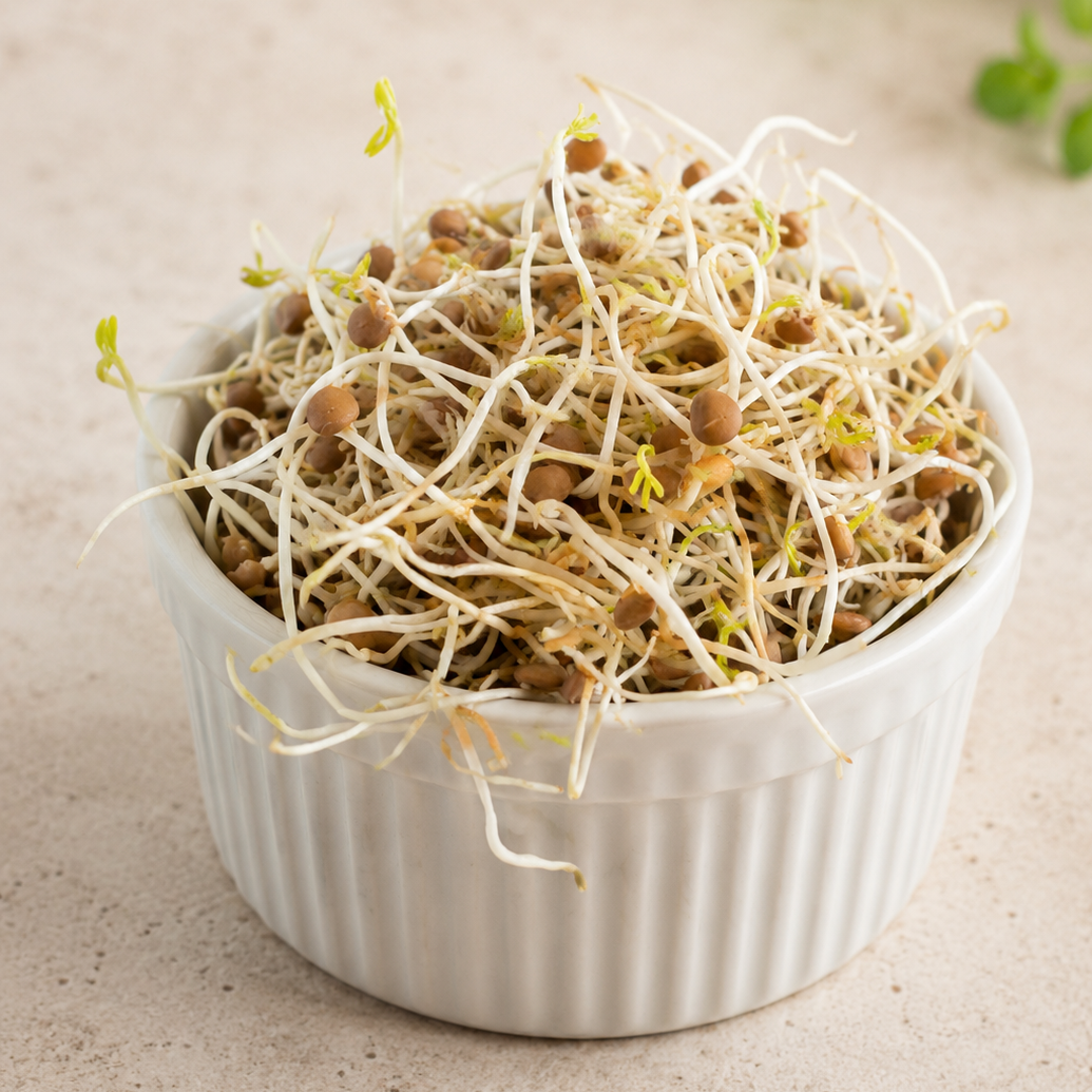 Brote de Lenteja 70gr