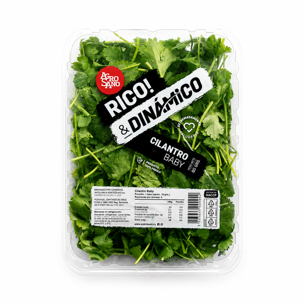 Cilantro Baby